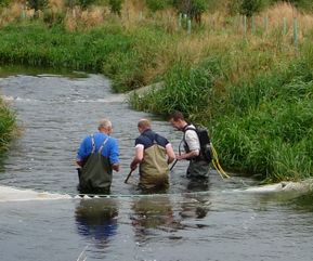Electro fishing  (main stem of the River Ythan)