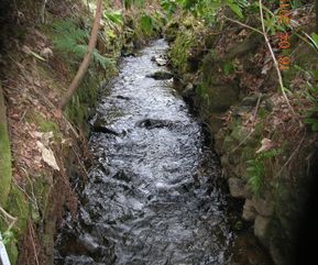 Secondary channel at Keithfield Burn