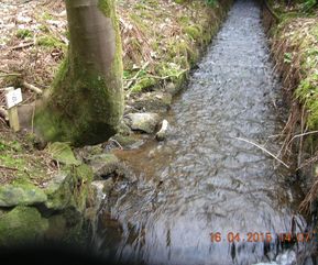 Secondary channel at Keithfield Burn (upsteam view)